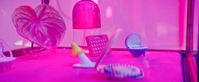 Screen Shot 2017-06-12 at 2.43.58 PM.png